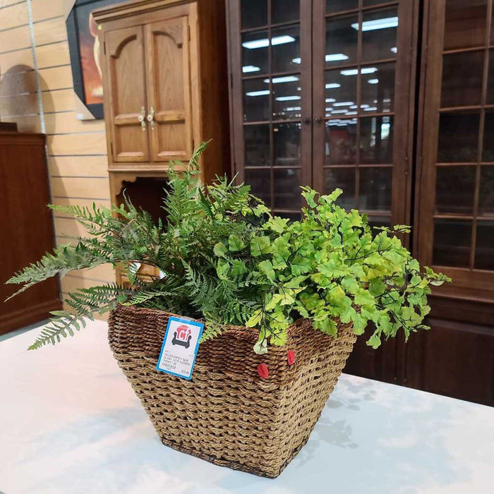 SILK PLANT WITH WICKER BASKET BI