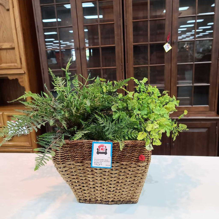 SILK PLANT WITH WICKER BASKET BI