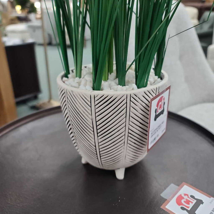 MED. GRASS IN POT I