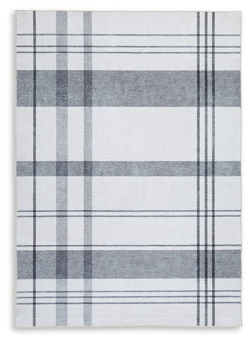 Kaidlow Washable Medium Rug